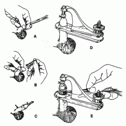 Circumcision Instruments 