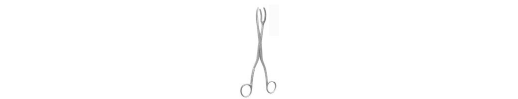 Sterilizing Forceps